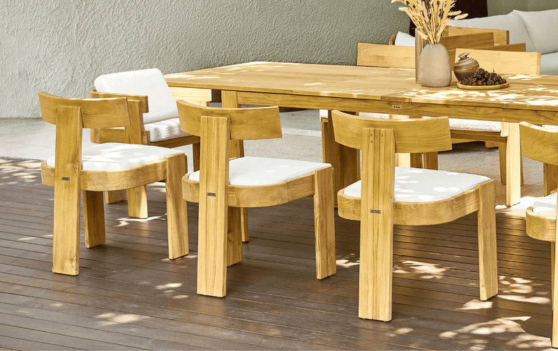 Dining Chairs