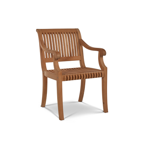 PALM DINING ARMCHAIR [HLAC200]